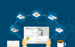 Data Analyst